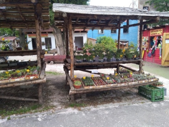 Prodejní stánek v ZOO Dvůr Králové