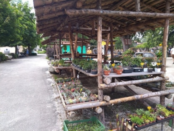 Prodejní stánek v ZOO Dvůr Králové